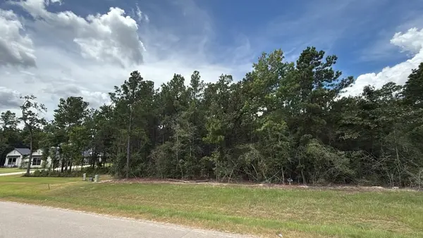 7621 Trinity Pines Dr, Montgomery, TX 77316