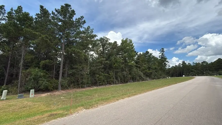 7621 Trinity Pines Dr, Montgomery, TX 77316 - #2