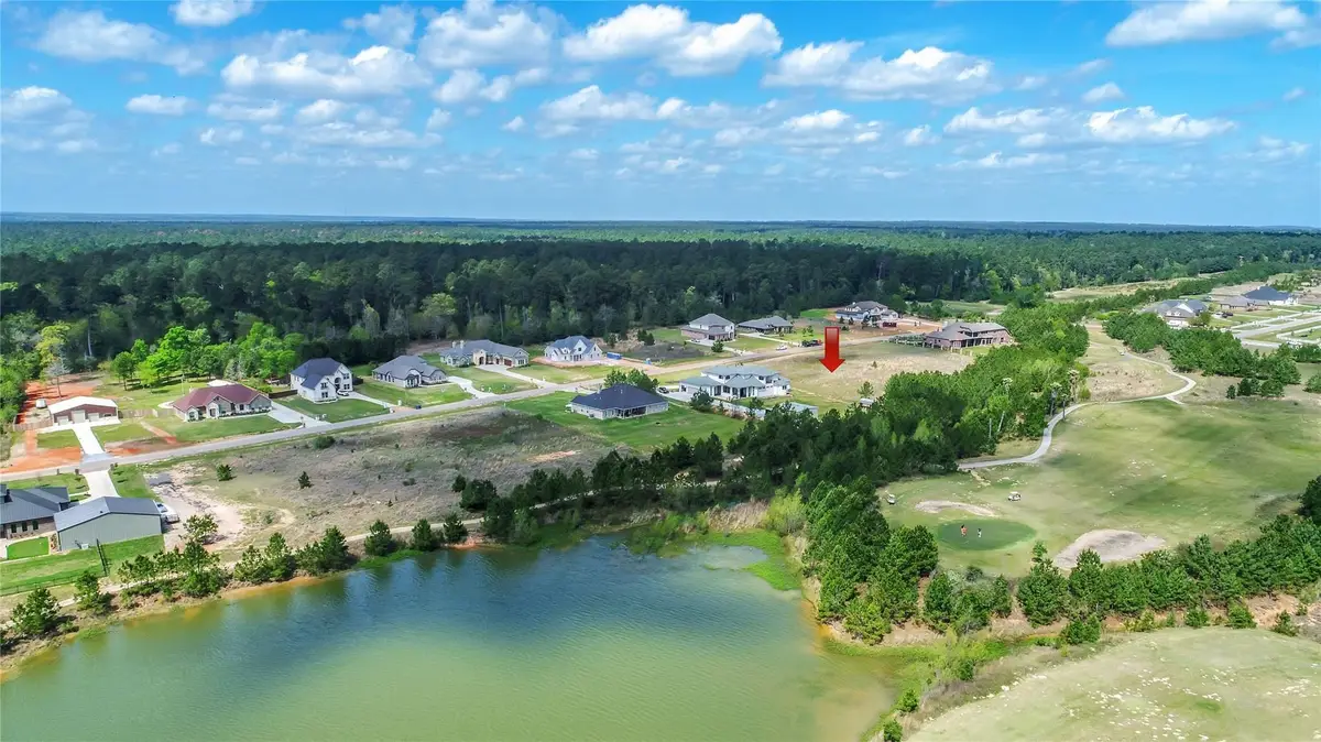 18513 Michaels Run, Montgomery, TX 77316 - #1