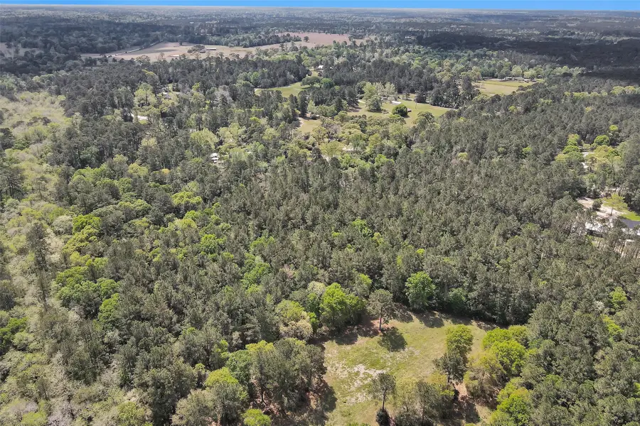 14869 County Line Road, Willis, TX 77378 - #3