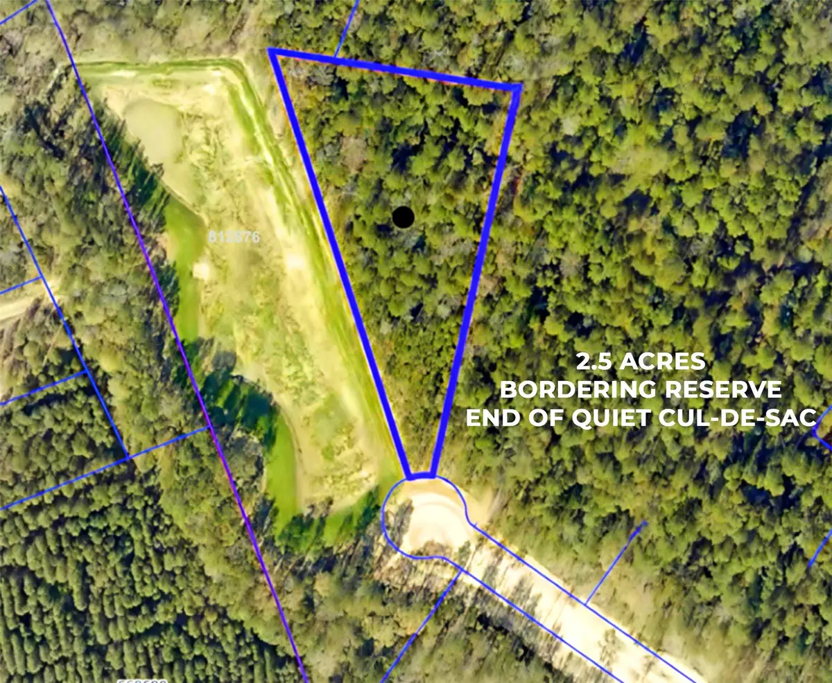 11707 Wishing Star Court, Willis, TX 77378 - Image #1