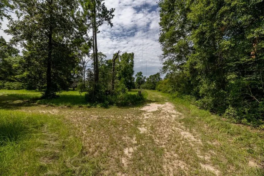 1255 Lee Turner Road Road, Cleveland, TX 77328 - #2