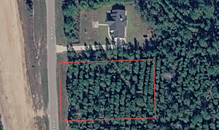 15584 Forest Grove Drive, Willis, TX 77378 - #2