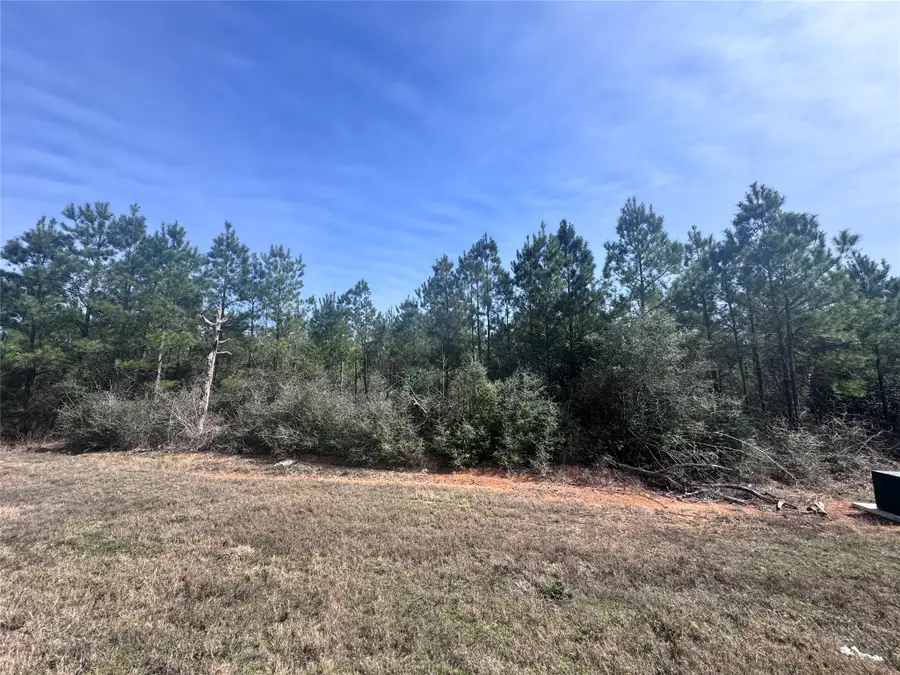 15584 Forest Grove Drive, Willis, TX 77378 - #3