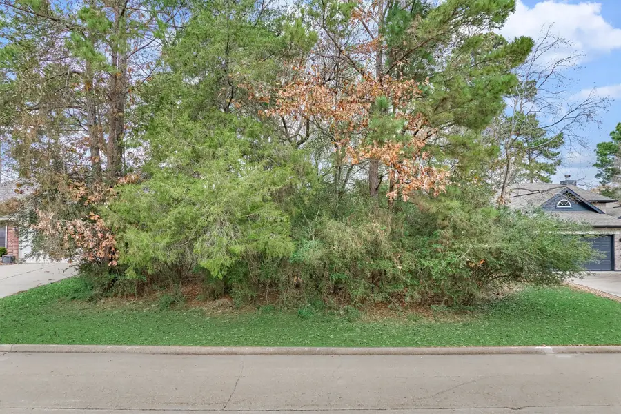 12614 Brightwood Drive, Montgomery, TX 77356 - Image #3