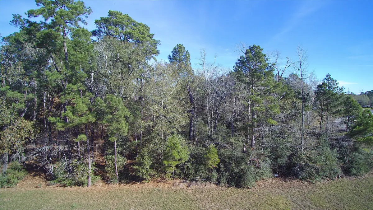 23481 Cannondale Loop, Montgomery, TX 77316 - #1