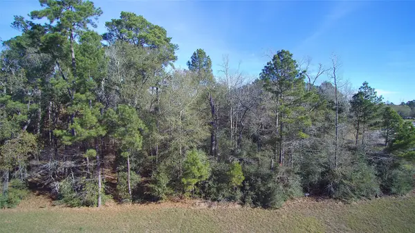 23481 Cannondale Loop, Montgomery, TX 77316