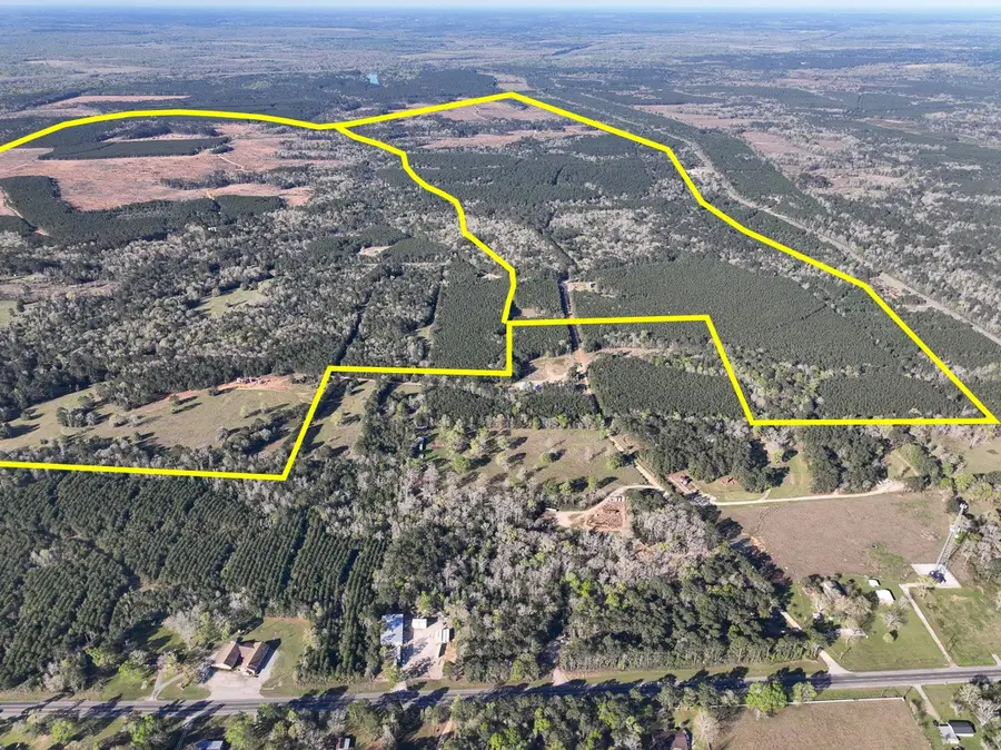 2 Highway 146, Livingston, TX 77351 - #2