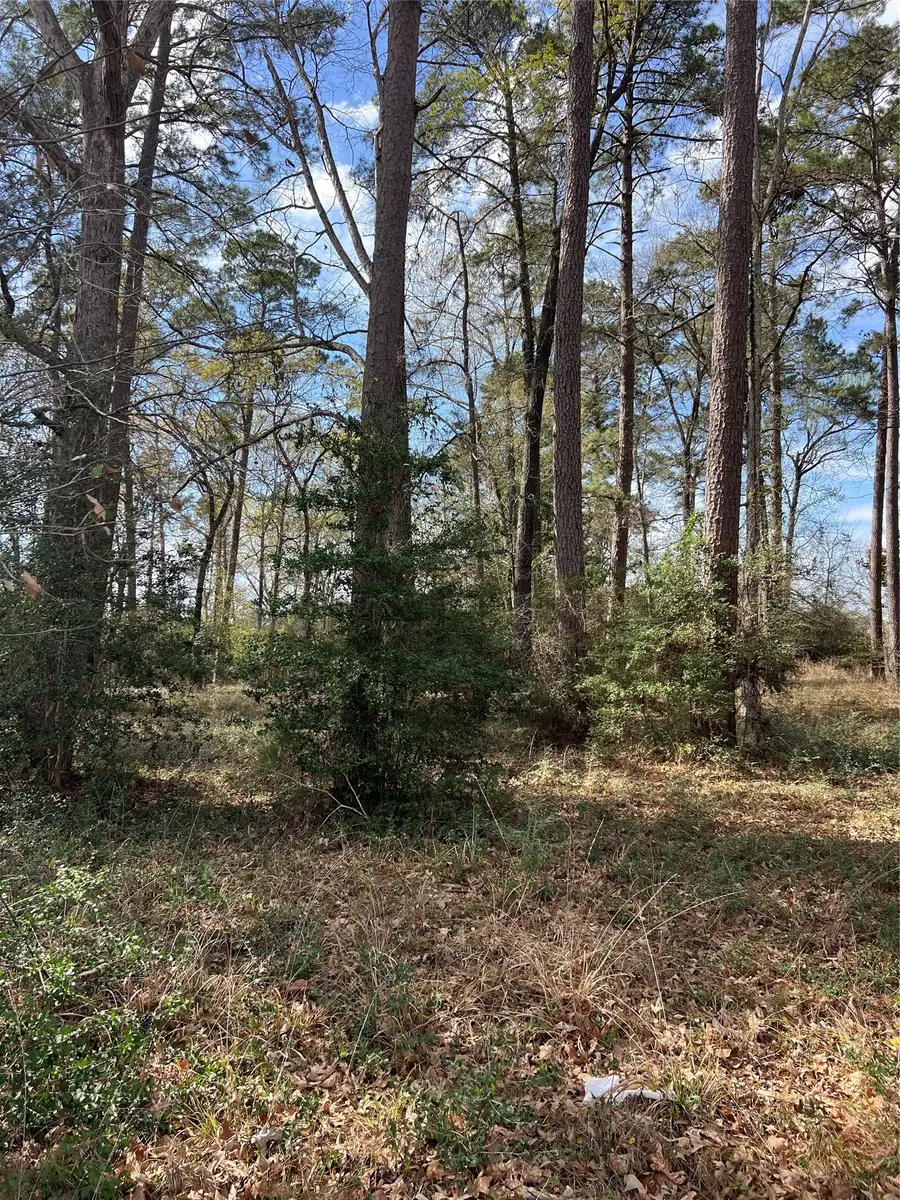 TBD 350 North, Livingston, TX 77351 - #2