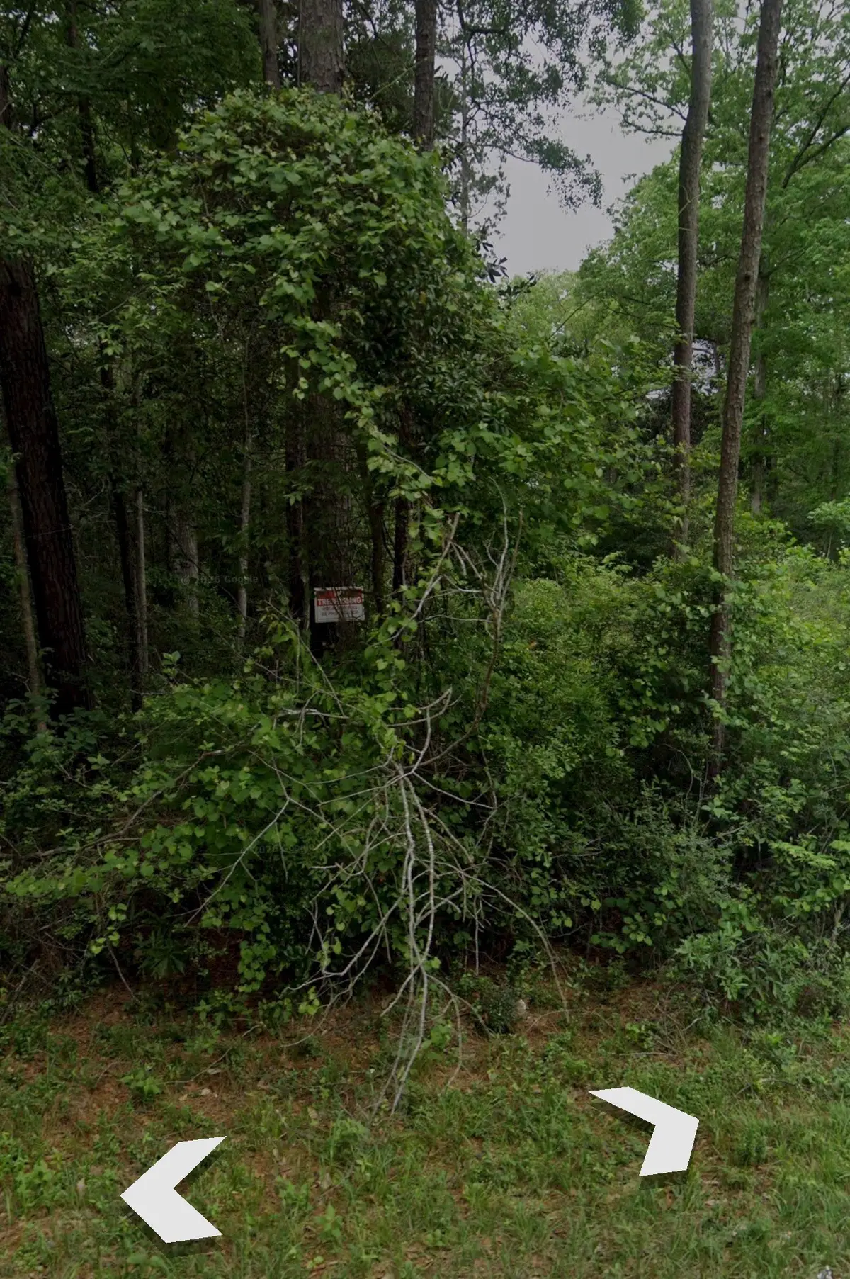 0 Bitter Creek Drive, Shepherd, TX 77371 - #1