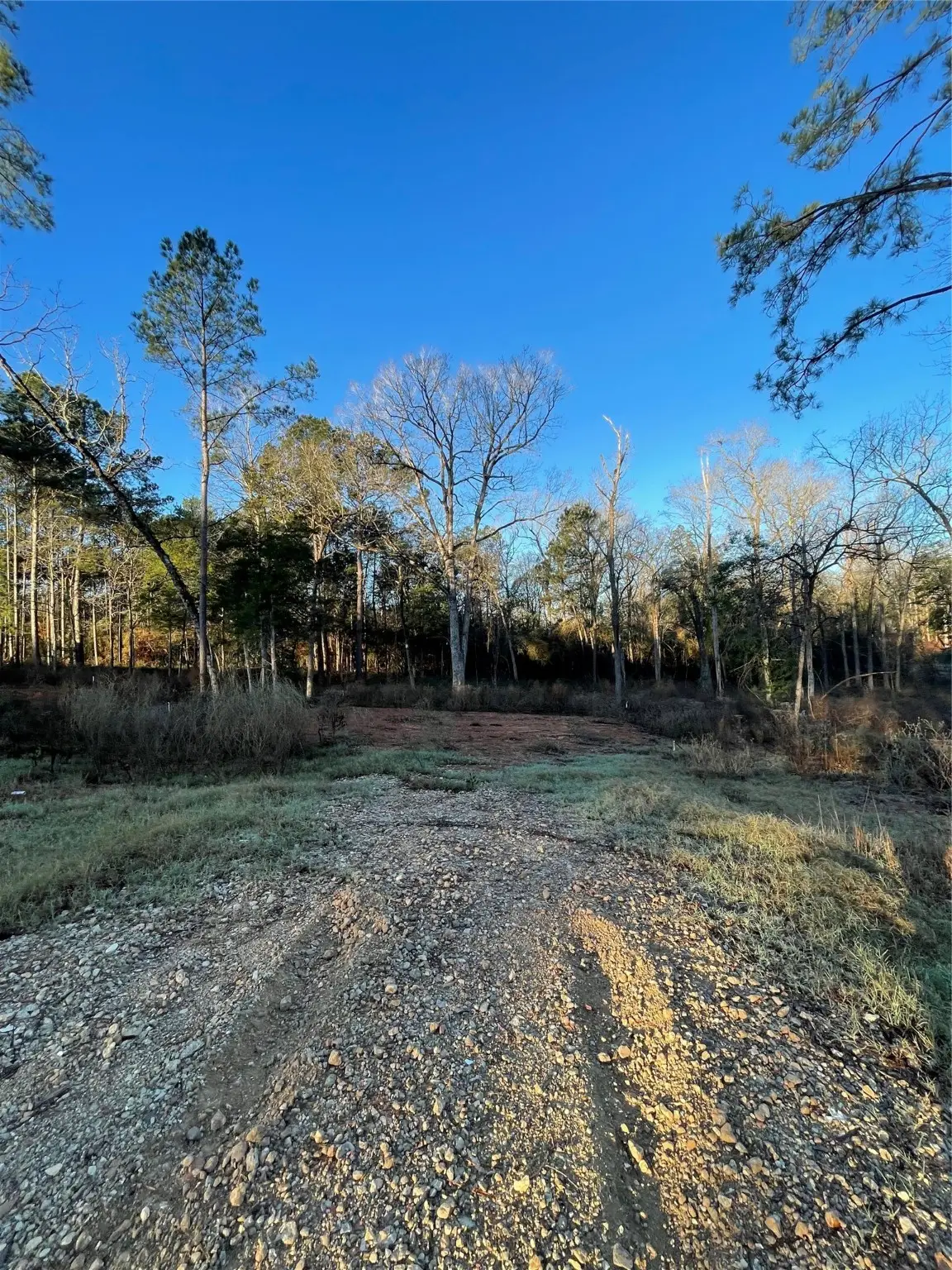 11351 Annie Creek Drive, Willis, TX 77378 - #1