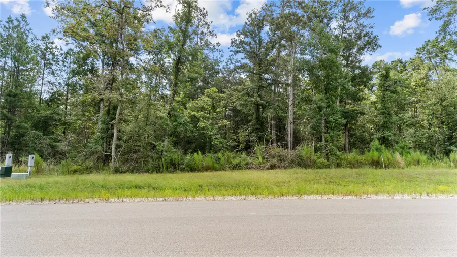 194 Exploration Road, Willis, TX 77378 - #3