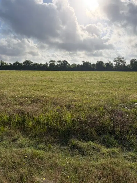 000 Brahman Trail, Angleton, TX 77515 - #1