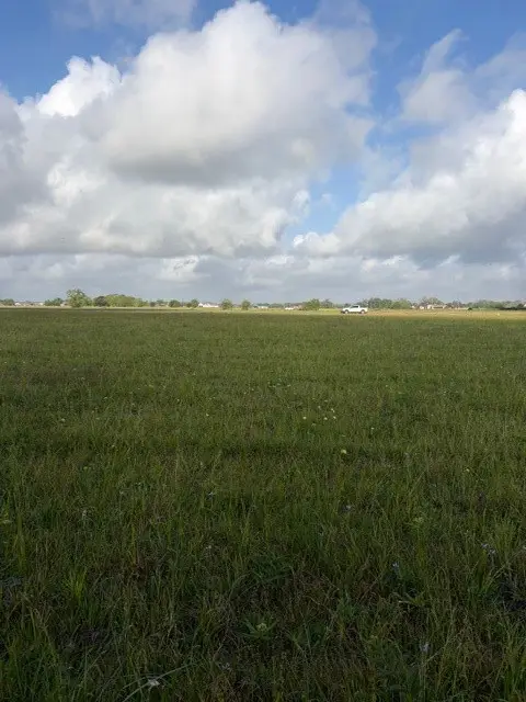000 Brahman Trail, Angleton, TX 77515 - #2