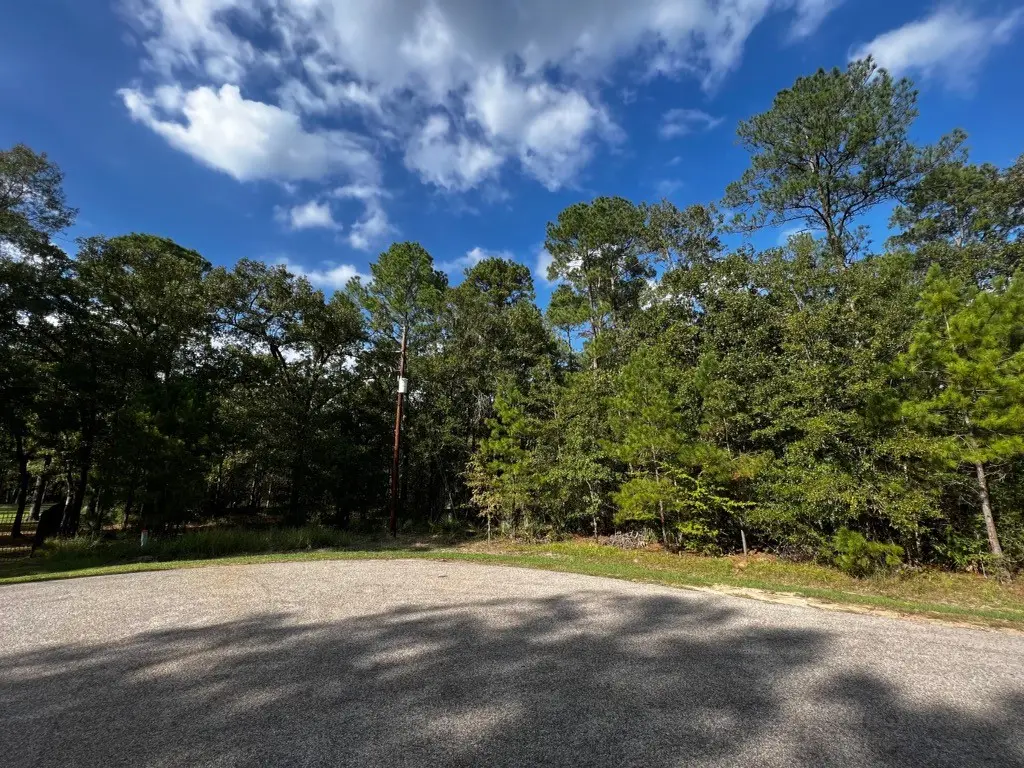 11809 White Oak Pass, Conroe, TX 77385 - #1