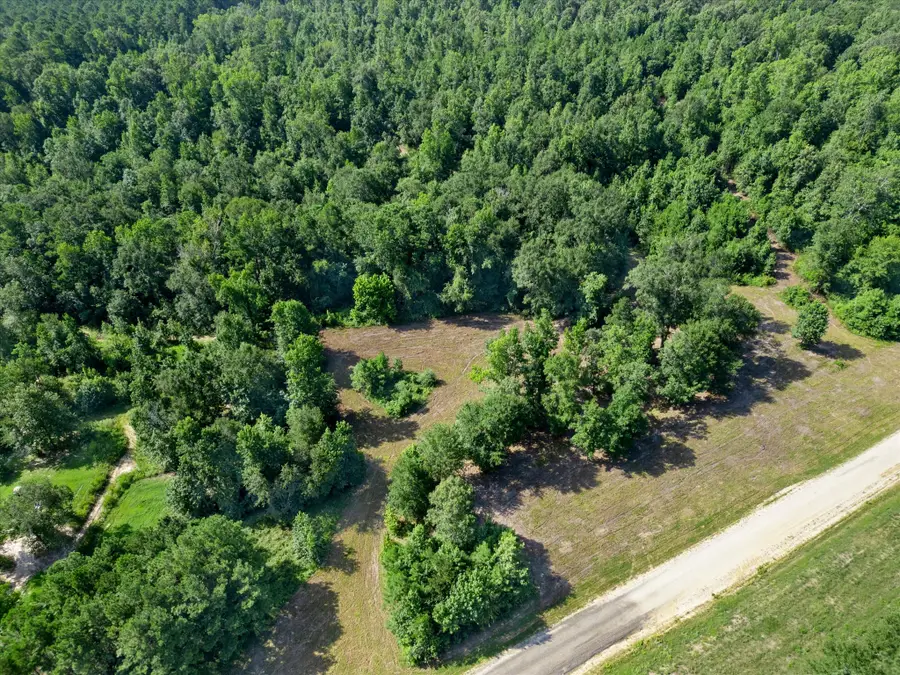 TBD Felix Currie Road, Point Blank, TX 77364 - #2