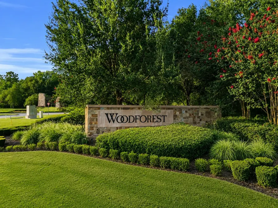 107 Del Monte Pines Drive, Montgomery, TX 77316 - #2