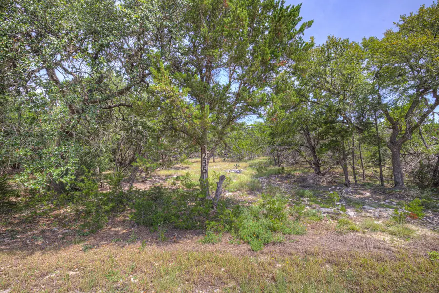 235 Flanders, Fischer, TX 78623 - #2