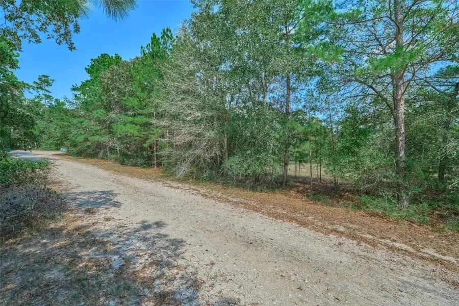 16039 Yaupon Berry, Plantersville, TX 77363 - #2