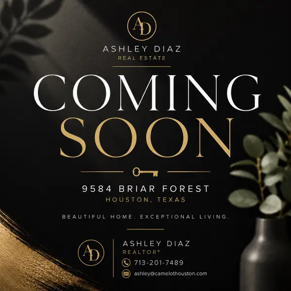9584 Briar Forest Drive, Houston, TX 77063