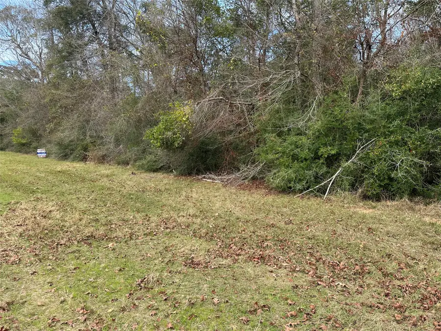 TBD Good Pasture, Thicket, TX 77374 - #2