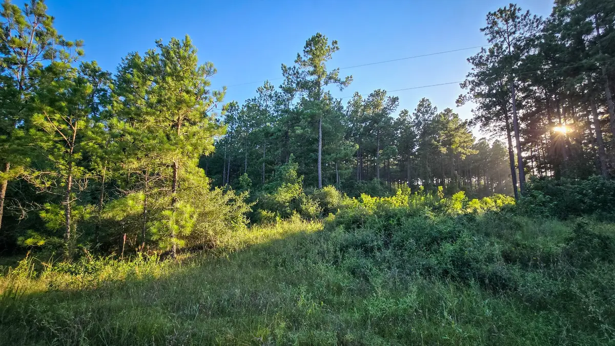 TBD Old Hwy 287, Groveton, TX 75845 - Image #1