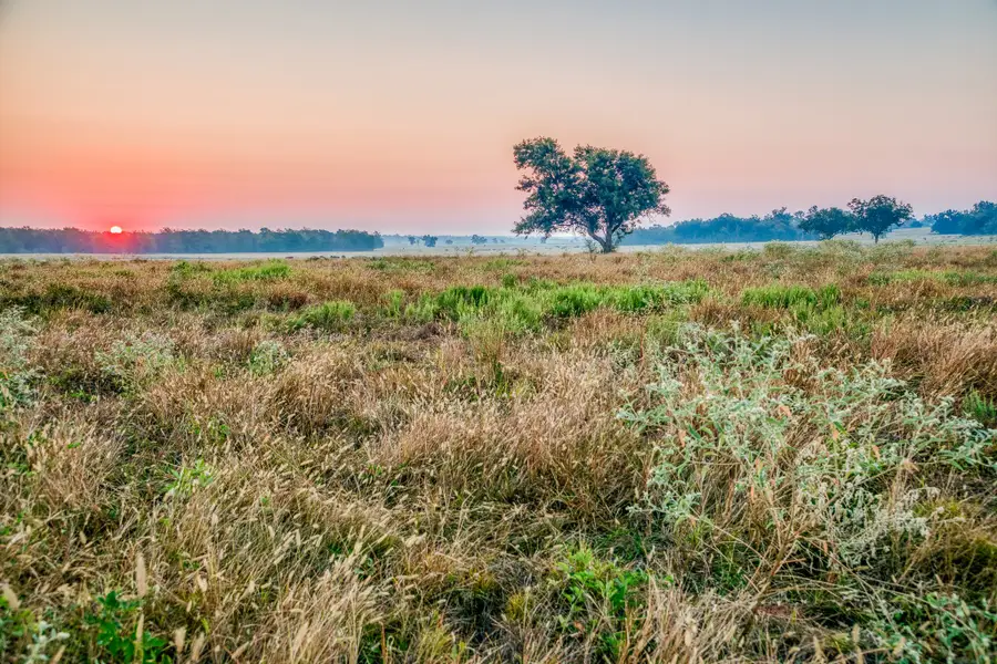 TBD Flat Prairie Road, Washington, TX 77880 - Image #2