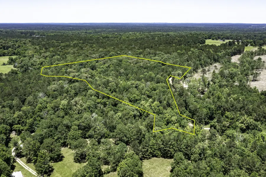718 Private Road 8060, Woodville, TX 75979 - #2