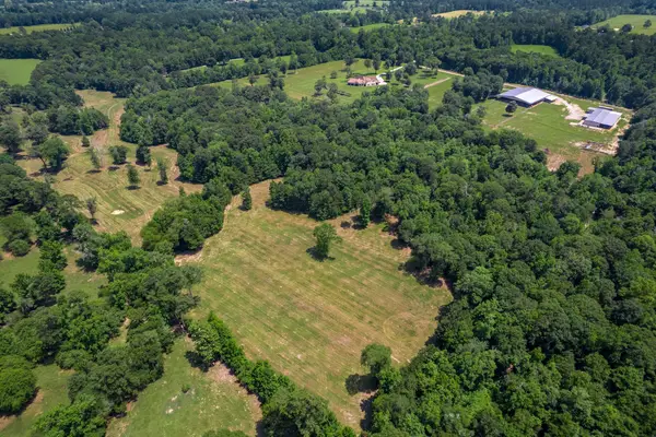 4161 Fm 2666 Road, Shepherd, TX 77371