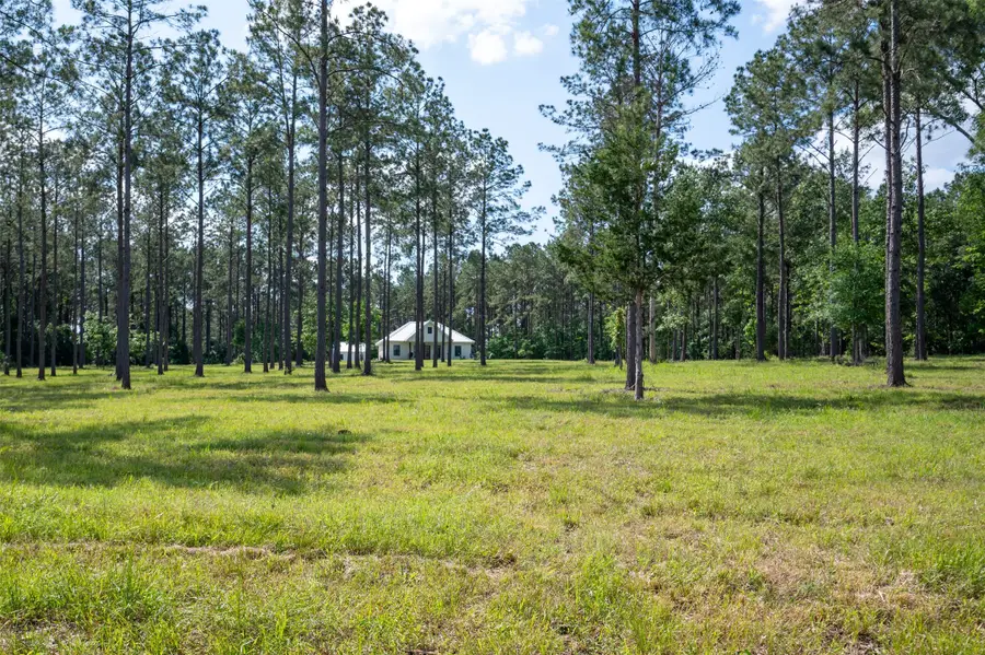 1068 County Road 3200, Colmesneil, TX 75938 - #2