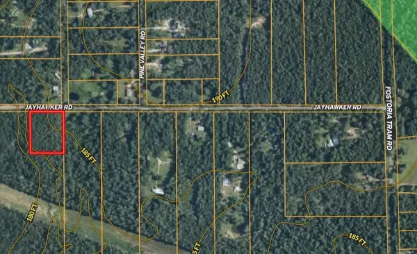 TBD (Tract 18) Jayhawker Road, Cleveland, TX 77328