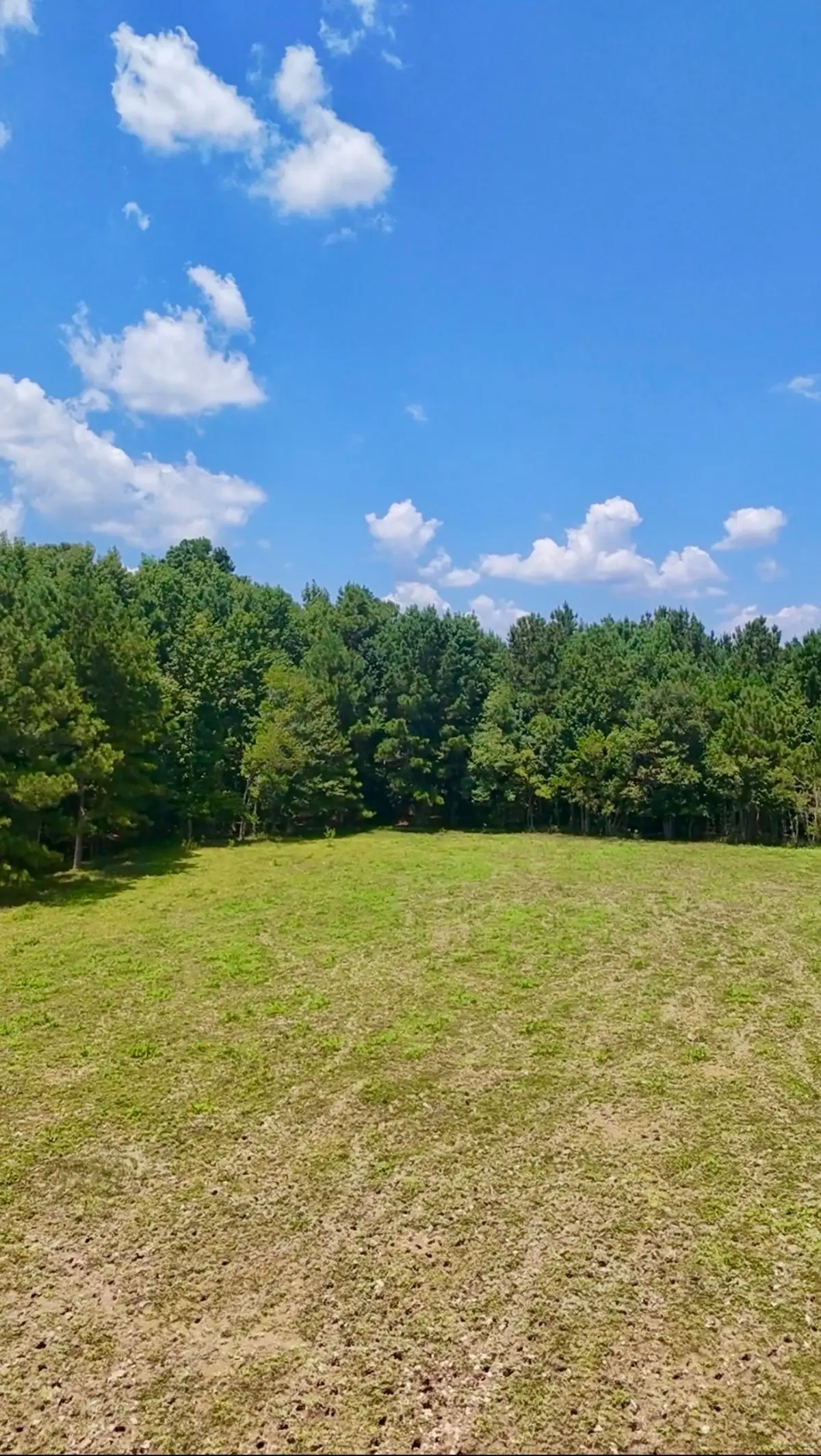 464 Road 3011a, Dayton, TX 77535 - #1
