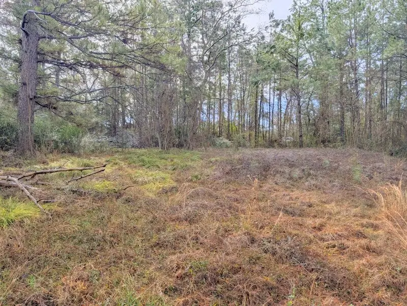 4025 Old Colony Road, Huntsville, TX 77320 - #3