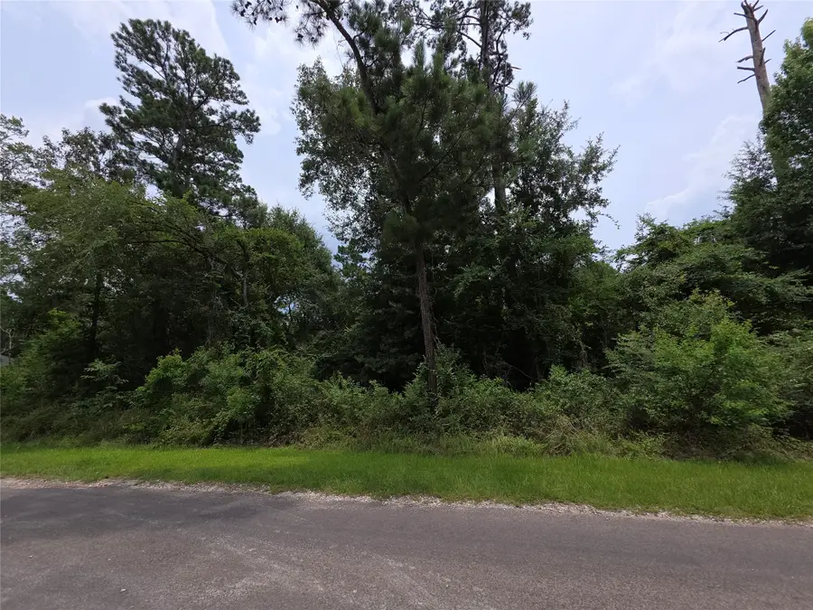 TBD E Cattle Drive, Onalaska, TX 77360 - #3