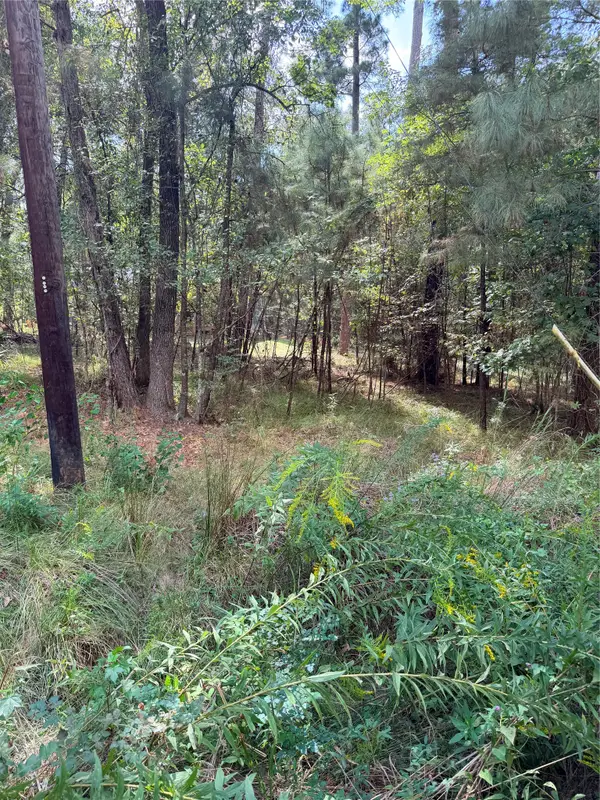 TBD Honeysuckle, Lot 1, Livingston, TX 77351