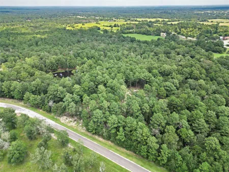 446 Moffett Springs Road, Huntsville, TX 77320 - #2
