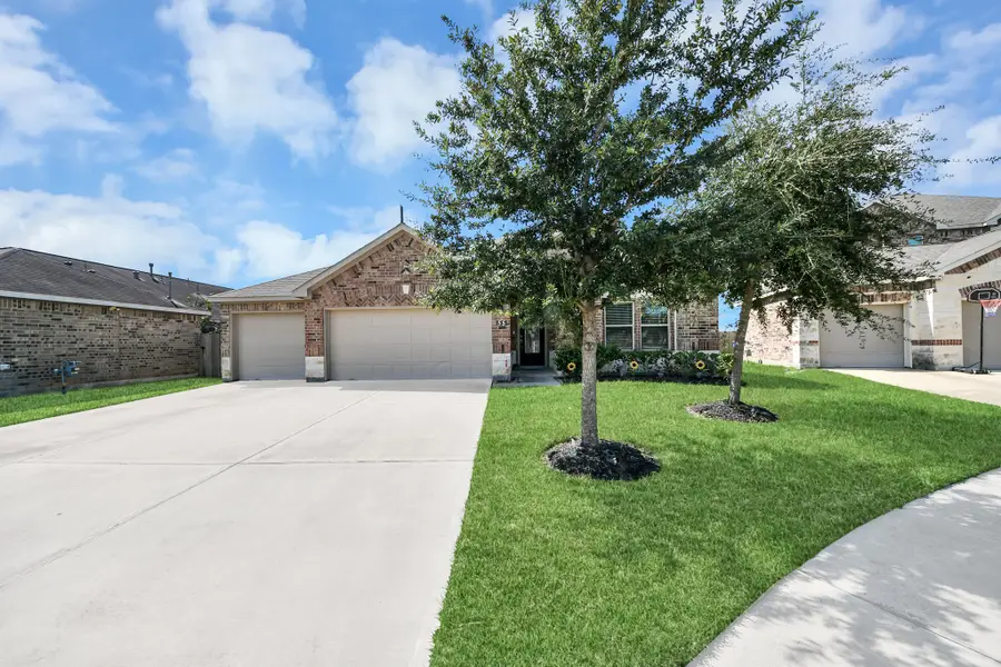 55 Alyssa Palms Drive, Manvel, TX 77578 - #3