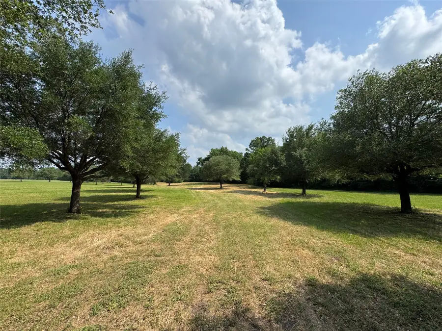 24077 Old Dobbin Plantersvil Road, Montgomery, TX 77316 - #3