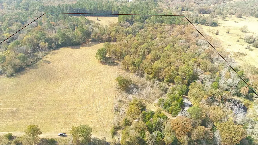 15031 N Fm-542, Oakwood, TX 75855 - Image #2