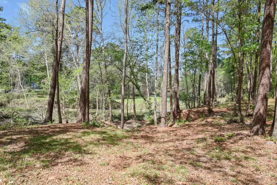 000 Harrell Cemetery Road, Coldspring, TX 77331 - #3