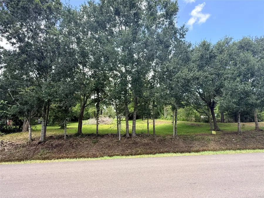 0 County Road 133, Alvin, TX 77511 - #2