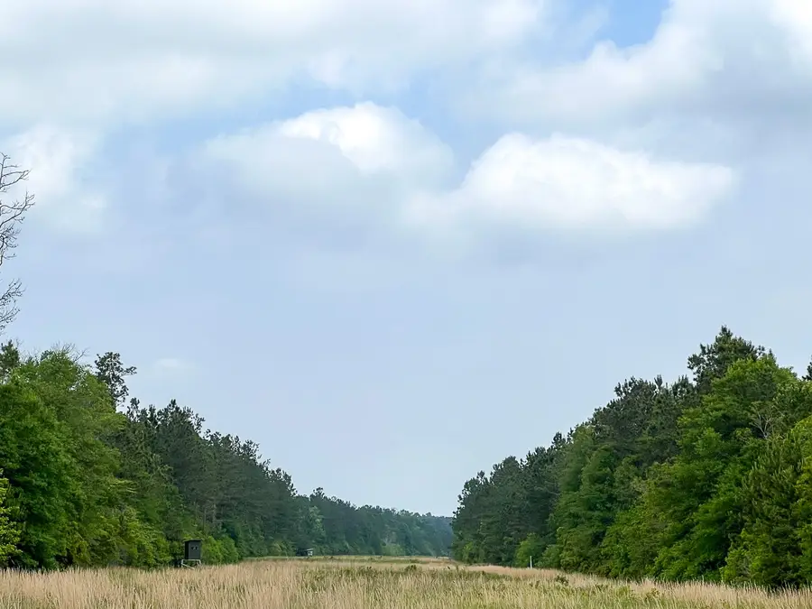 00000 Cravens Camp Road, Silsbee, TX 77656 - #3