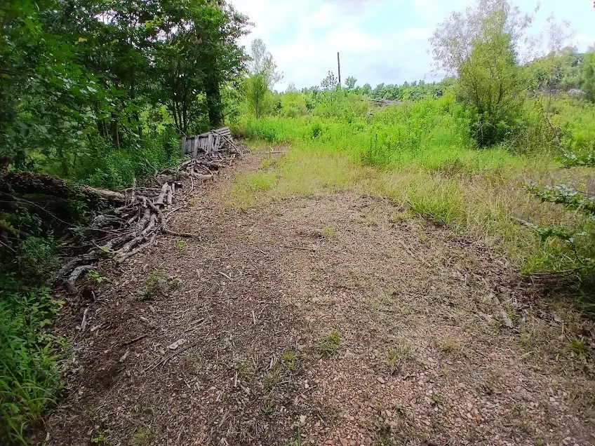 2018 County Road 4009, New Boston, TX 75570 - #3