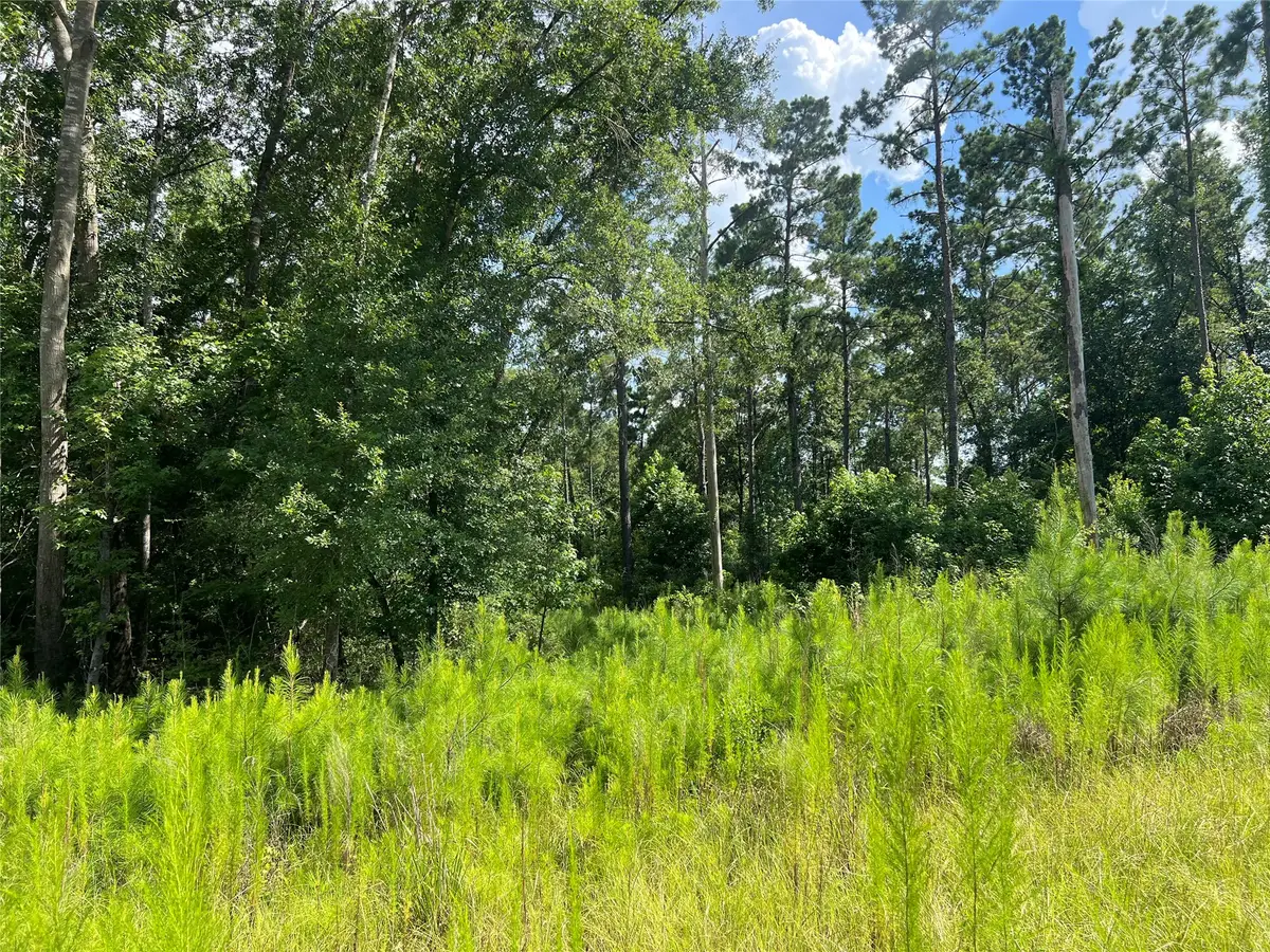Lot 25 Rolling Pines Drive, Livingston, TX 77351 - #1