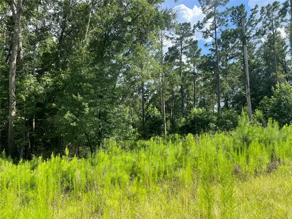 Lot 25 Rolling Pines Drive, Livingston, TX 77351