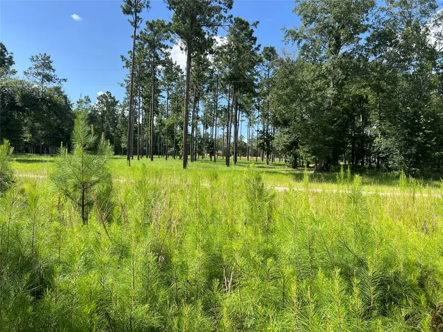 Lot 25 Rolling Pines Drive, Livingston, TX 77351 - #3