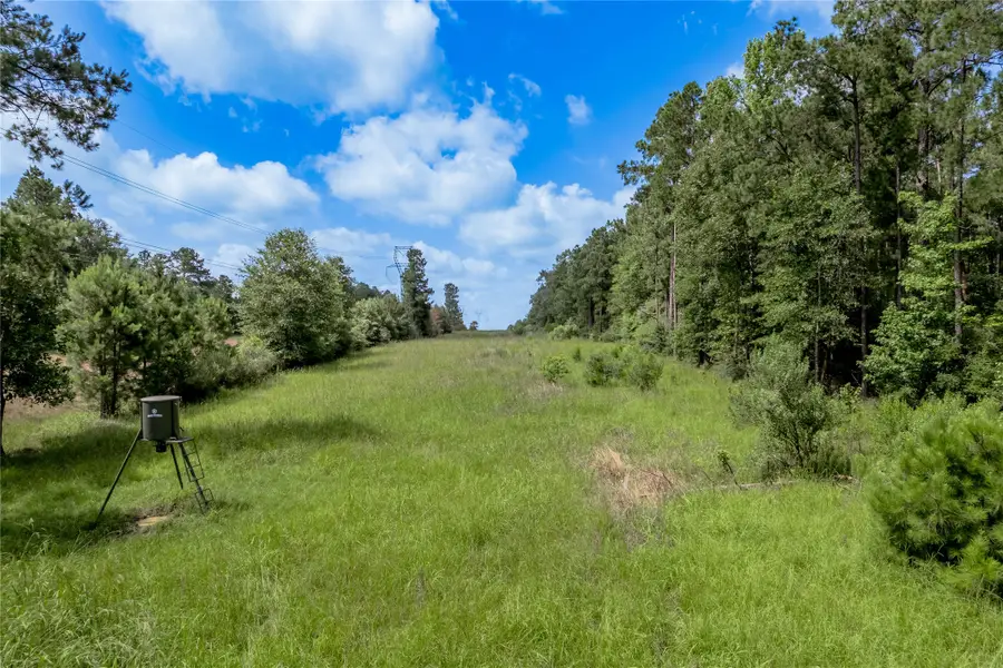 594 County Road 3540, Lovelady, TX 75851 - #3