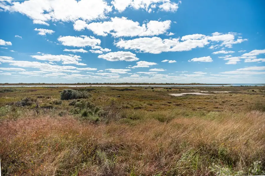 Lot 110 Coastal Springs, Port O Connor, TX 77982 - #2