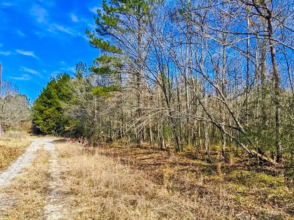 TBD Veal Street, Chester, TX 75936 - #1