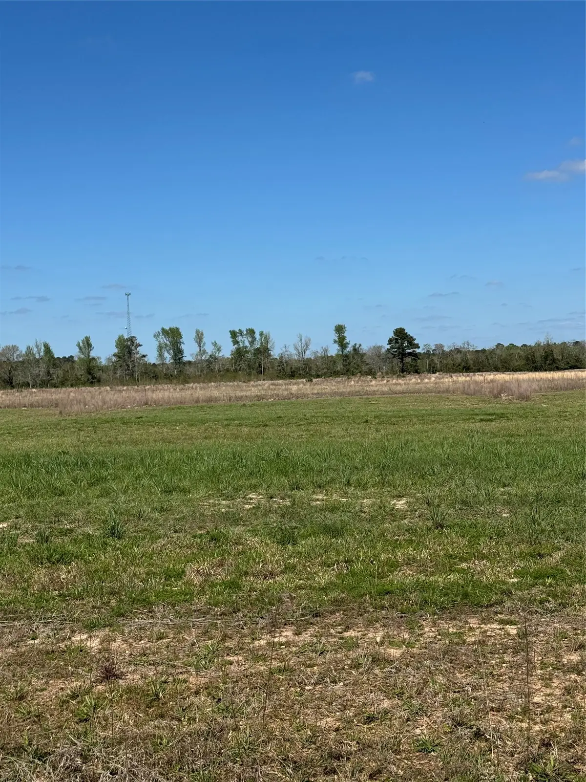 284 County Road 2278, Cleveland, TX 77327 - #1
